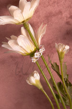 Anello Sakura blossom - My Little Wish