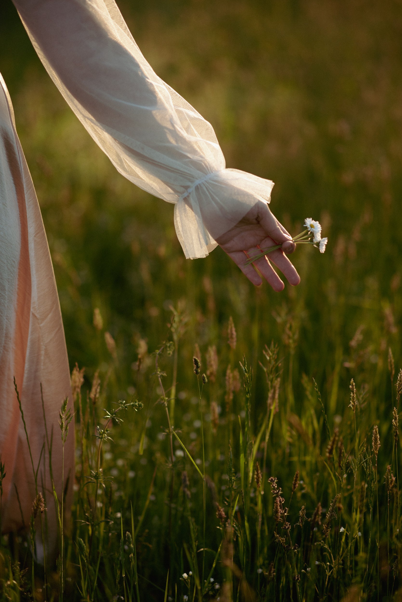 Cottagecore: lo stile che ti fa rallentare e tornare a sognare 🌿