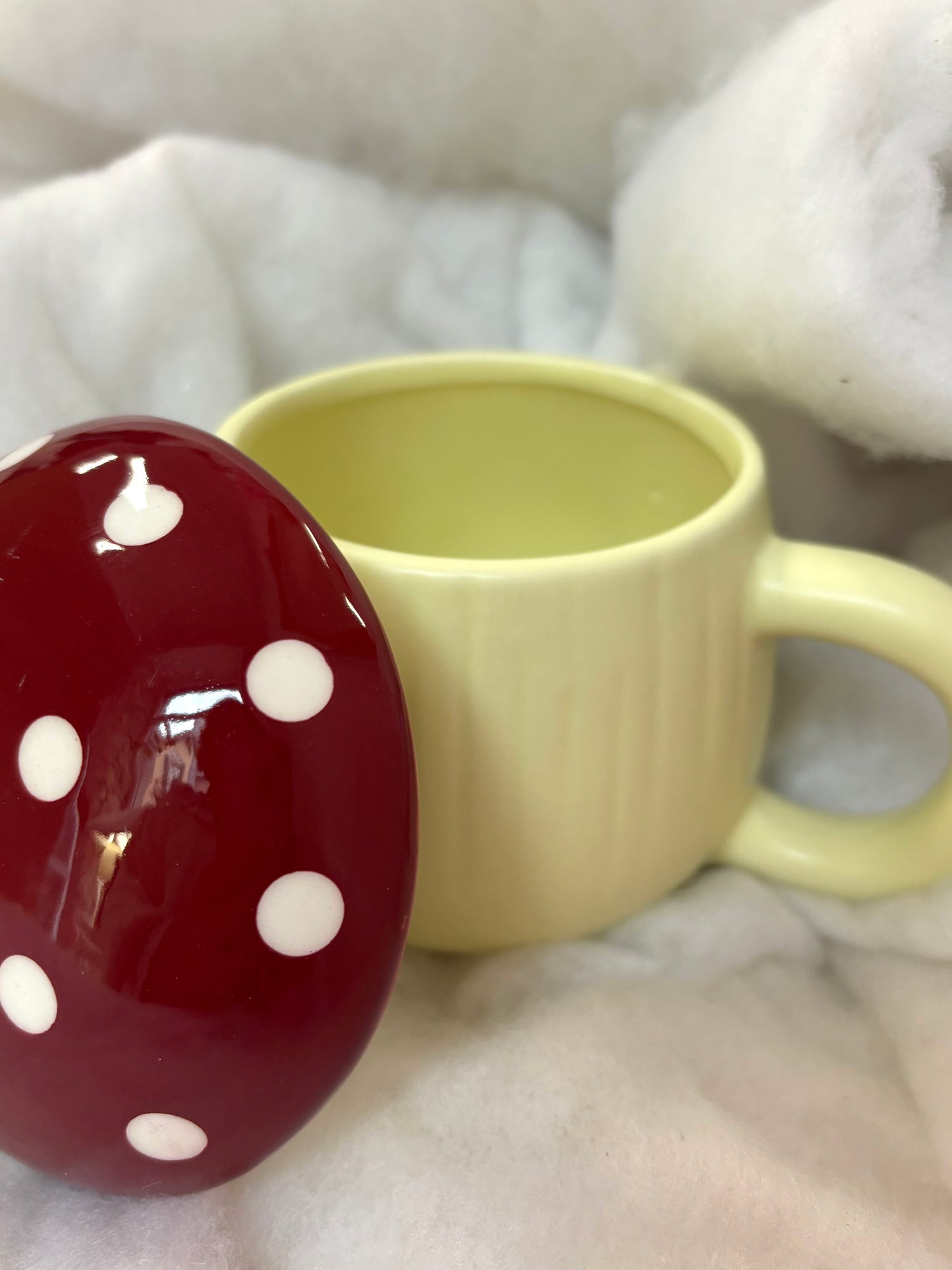 Tazza Fungo