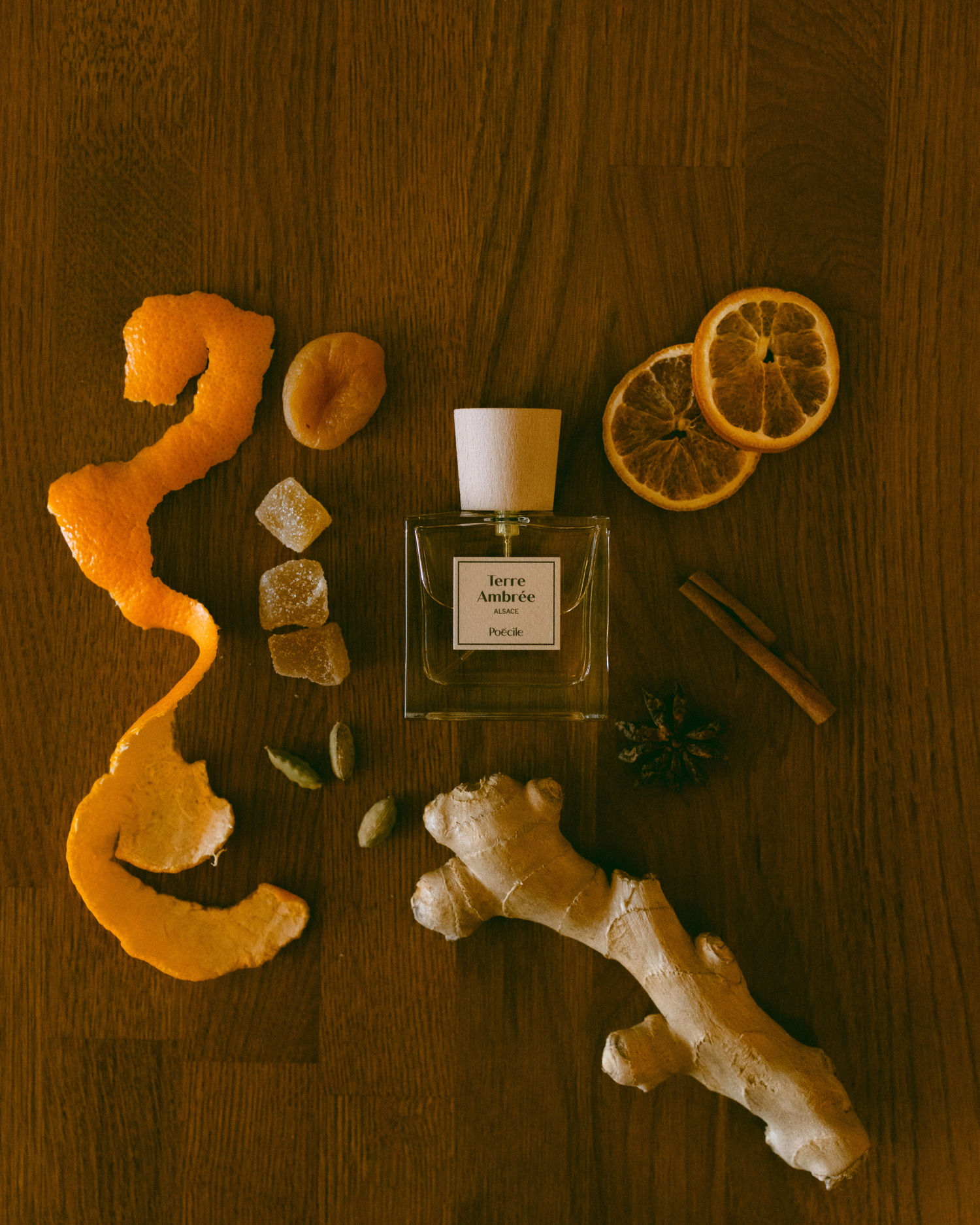 Profumo Poècile - Terre Ambrée - Eau de Parfum